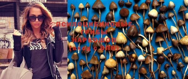 марихуана Алексин
