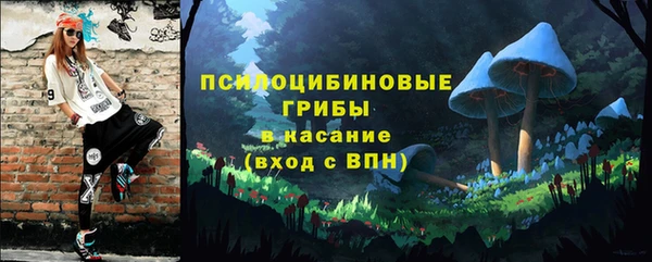 прущая мука Алзамай