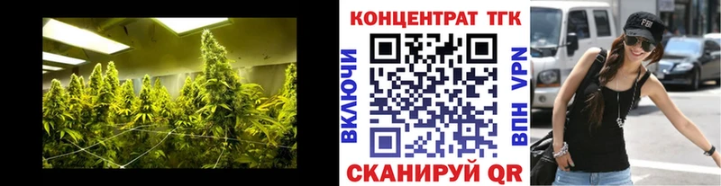 ТГК Wax Яблоновский