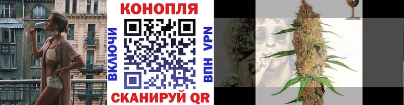 Купить  Яблоновский  Бошки Шишки планчик 